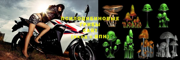 СК Козловка